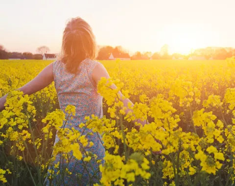 Woman in a yellow flower field